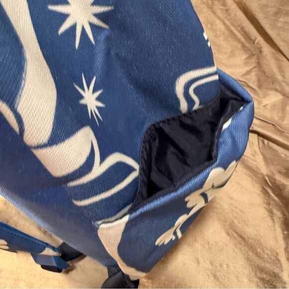 Farm Rio X Adidas collab designer Blue Floral Backpack main image 4